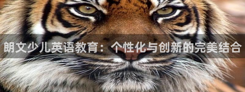 必一体育app下载最新版本