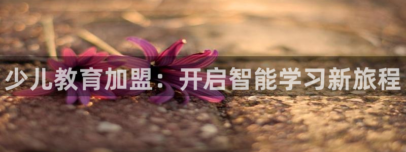 必一体育官方下载