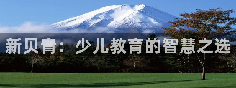 必一运动 b 体育素描版