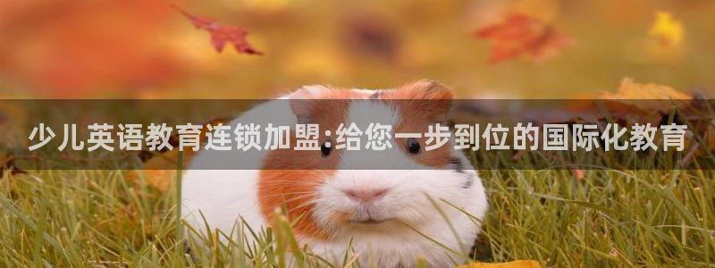 必一体育下载移动版