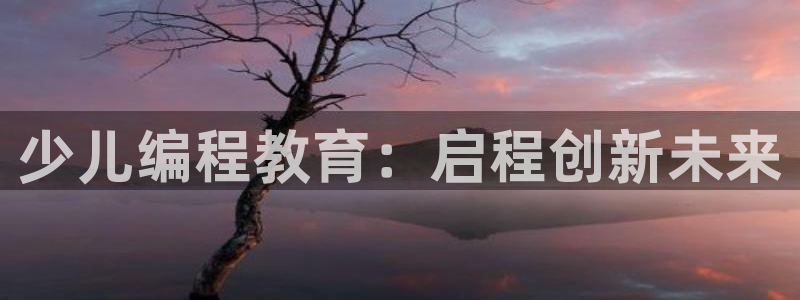 必一体育sport网页版