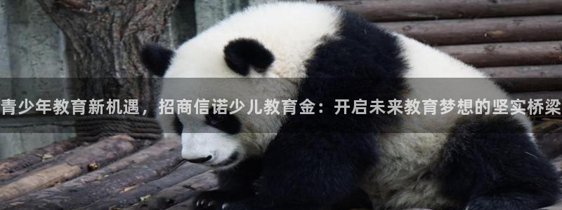 必一体育官方app下载