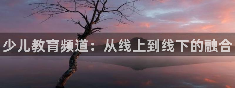 必一体育sport网页版