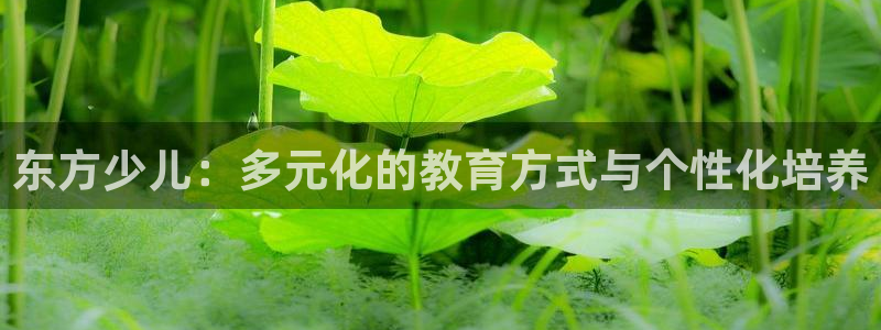 必一体育下载意思