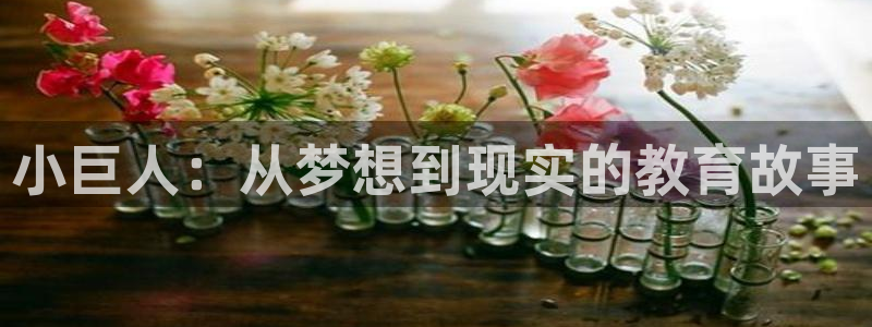 必一体育app平台下载