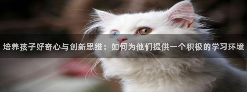 必一体育app平台下载