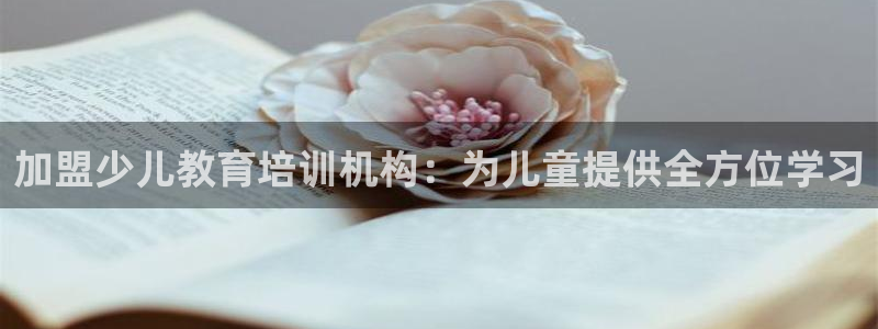 必一体育官网网站