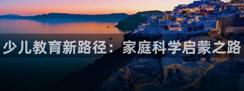 必一运动 b 体育素描版