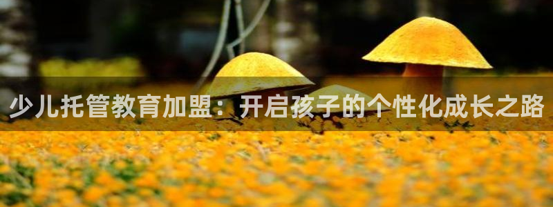 必一体育在线入口