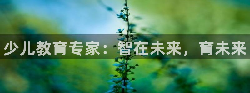 必一体育是哪里的台子