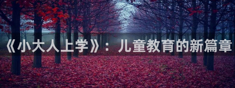 必一体育运动下载