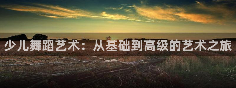 必一体育登录入口