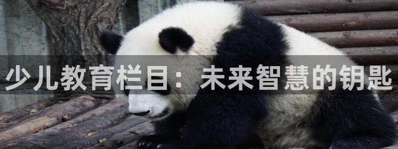 必一体育怎么下载