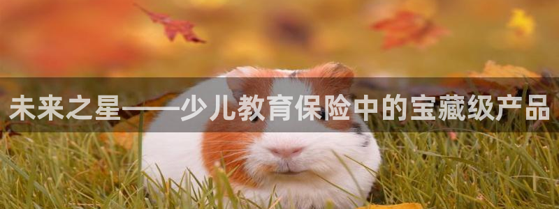 必一运动·(B-Sports)