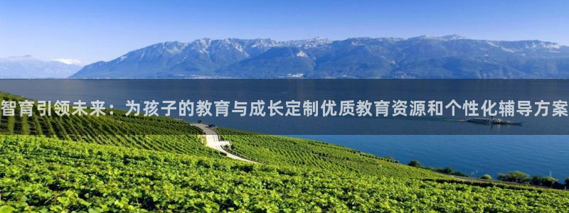 必一体育sport装机吧
