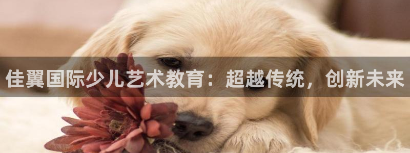 必一体育登陆