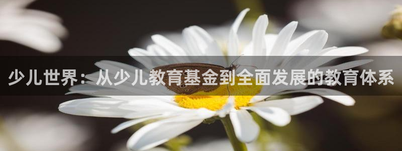 Bsport体育必一