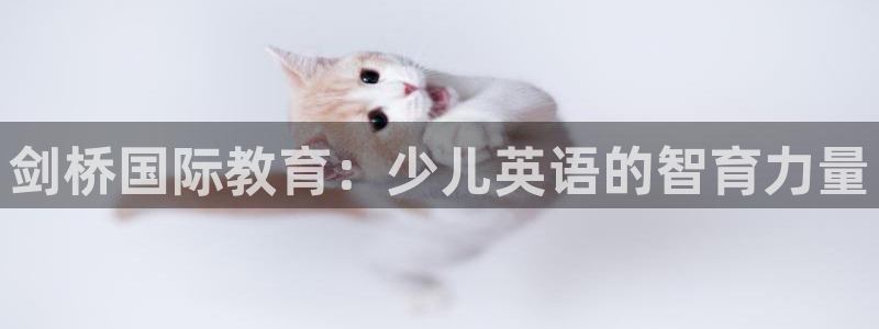 必一体育