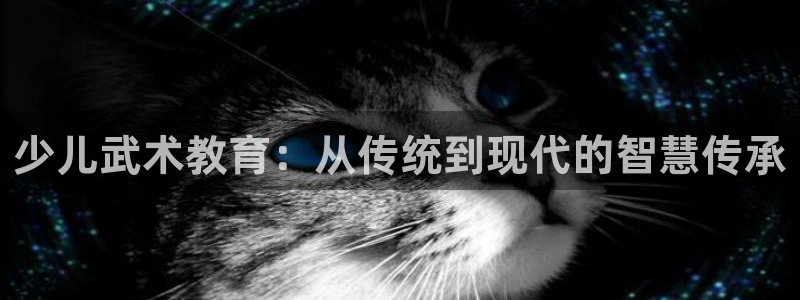 必一运动bsport体育app下载