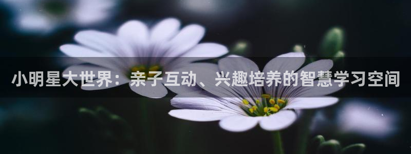 必一体育APP下载安装