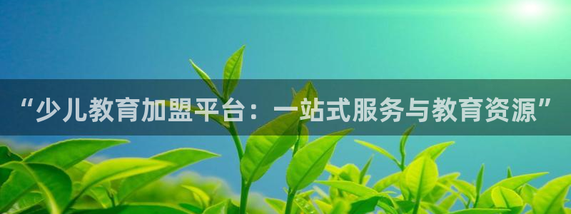 必一体育app下载装机吧